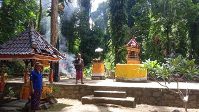 Dua Pelinggih Pura Taman Belatungan Banyupoh Rusak Timpa Pohon