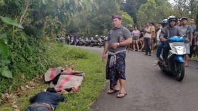 Pengendara N MAX asal Kunir Kidul Lumajang Alami Remblong di Jalan Turun Selat Buleleng Sambil Teriak, 1 Meninggal Dunia