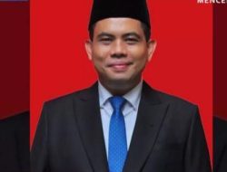 Ahmad Fauzan, Ketua DPW PAN Sumut Tersangka Dugaan Kasus Panganiayaan