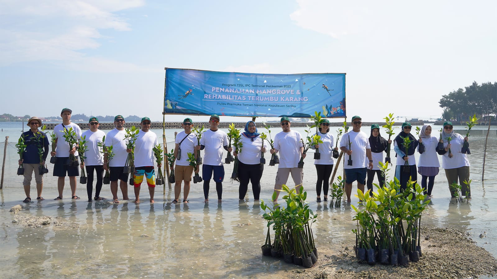IPC TPK Tanam  Mangrove Dan Rehabilitasi Terumbu Karang Lawan Abrasi