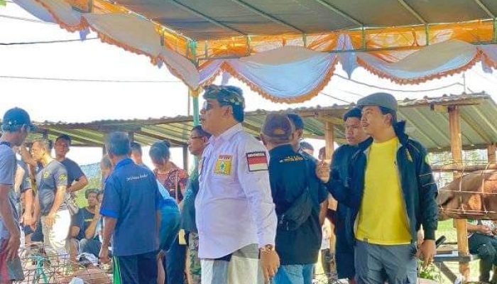 DPRD Bares, Wayan Suyasa Berbagi 130 Ekor Babi Untuk Umat Hindu Badung