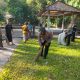 Polsek Busungbiu Bersih-bersih Lingkungan Gandeng Babinsa dan Masyarakat Adat