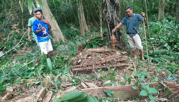 Pemakaman Tua Puluhan Tahun Tidak Diperhatikan Pemdes Lokajaya Lakukan Kerja Bakti