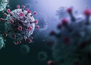 Para Ilmuwan Inggris Menyebut Varian Virus Corona Penyebab Covid-19 paling banyak Bermutasi di Indonesia