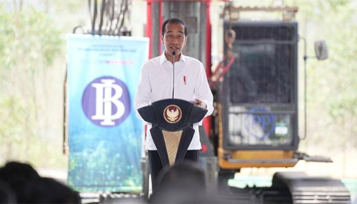 Dinasti Politik Jokowi Disorot 2 Media Internasional
