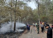 Hutan Produksi Terbatas Gunung Batur Kintamani Terbakar 1 Hektar,Kapolsek Dan Tim Bekerja keras