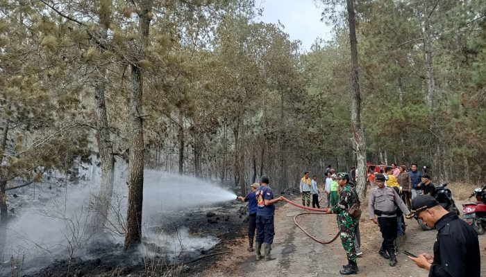 Hutan Produksi Terbatas Gunung Batur Kintamani Terbakar 1 Hektar,Kapolsek Dan Tim Bekerja keras