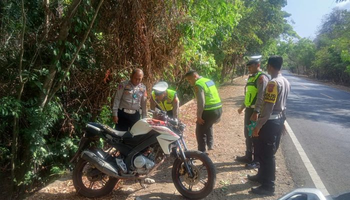 Akibat Dahan Pohon Melintang Dijalan, Pick Up dan Vixion Adu Jangkrik Satu MD