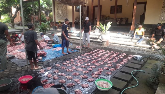 Sambut Tahun 2024 Kresna Budi Bagi 641 Daging Babi. Bangkitkan Tradisi Ngelawar