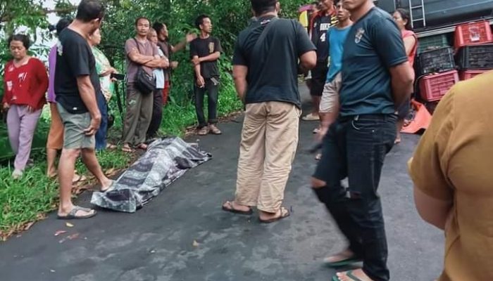 Tak Kuat Nanjak L300 Bermuatan Buah Manggis Terguling, Penumpang Meninggal Ditempat