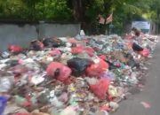 Tebarkan Kekumuhan Jalan Desa Panji Dihiasi Sampah, Diduga Pemerintah Desa Lalai