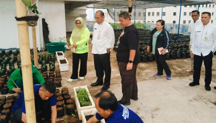 Jaga Stabilitas Ketahanan Pangan, Pemkot Jakbar Tanam Ribuan Cabai