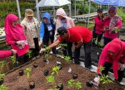 Camat Pesanggrahan Bersama Poktan Tanam Puluhan Bibit Cabai Serentak