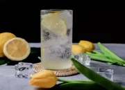 5 Cara Alami Menunda Menstruasi, Jus Lemon Membantu Mencegah Pendarahan