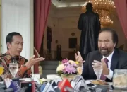 Surya Paloh Berjumpa Presiden Jokowi dalam Istana, NasDem: Penuhi Undangan Makam Waktu petang