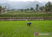 Menyatukan data dengan Ukuran Desa demi mendirikan Indonesia