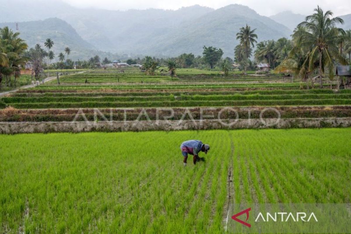 Menyatukan data dengan Ukuran Desa demi mendirikan Indonesia