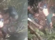 Video Viral Kekejaman OPM Papua Semakin Brutal Mutilasi Seorang Anggota Satgas Brimob 