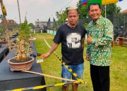 Sebanyak 248 Kontestan Ikuti Pameran dan Kontes Bonsai di Klaten