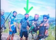 Inilah Tampang Pelaku Pembunuh Danramil 1703-4/Aradide Berhasil Ditangkap Satgas Operasi Damai Cartenz.