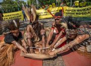 Suku Awyu Papua Berharap MA Menjatuhkan Putusan Hukum yang Melindungi Hutan Adat Mereka