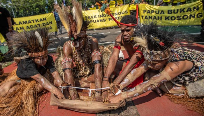 Suku Awyu Papua Berharap MA Menjatuhkan Putusan Hukum yang Melindungi Hutan Adat Mereka