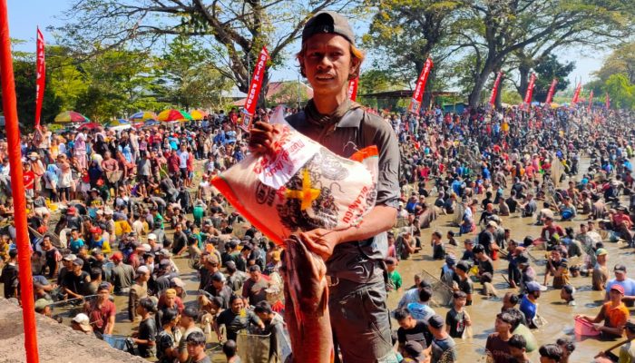 Keseruan Warga Berebut 2 Ton Ikan di Tradisi Memet Ikan Geblegan Kalikotes