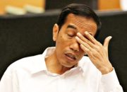 Pusing !, Projo: Apa-apa Jokowi Disalahkan,