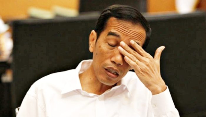 Pusing !, Projo: Apa-apa Jokowi Disalahkan,