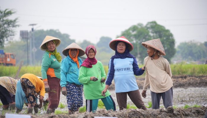 Kunjungi Klaten, Wamentan: Petani Tidak Boleh Susah