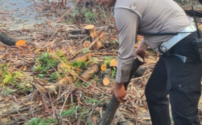 Kanit Lalu Lintas Polsek Kembangan Kompol Suprapto Amankan Lokasi Tiang Listrik dan Pohon Tumbang