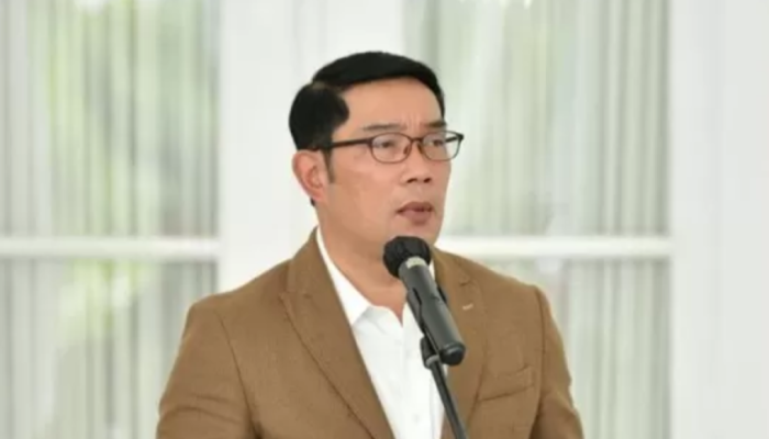 Cagub Ridwan Kamil akan Menjual Karya Lukisannya untuk Menambah Dana Kampanye Pilkada Jakarta.