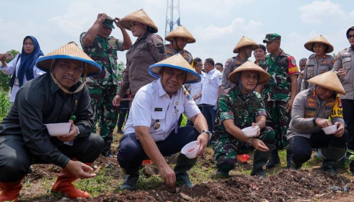 Wali Kota Jakbar Bersama Forkopimko Dukung Ketahanan Pangan Tanam Bibit di Joglo