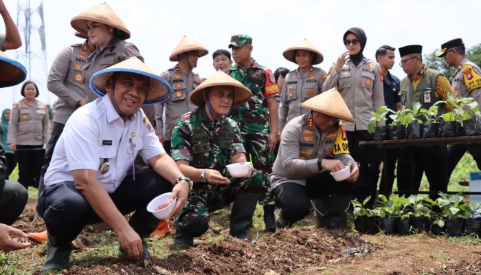 Lounching Gugus Tugas Ketahanan Pangan Serentak, Polres Metro Jakbar bersama Forkopimko Tanam Bibit Ketahanan Pangan 