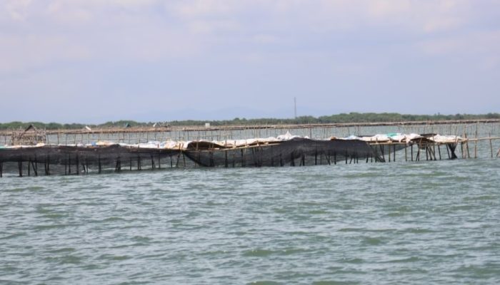 Pagar Bambu di Laut Tangerang yang Memagari Setengah Pulau Dibongkar Hari Ini