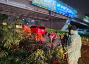 Pawas dan Anggota Polsek Kembangan Tindak Gerak Cepat Atasi Pohon Tumbang Menimpa Kabel Listrik di Meruya Utara