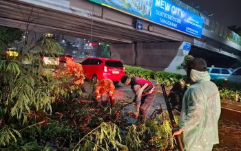 Pawas dan Anggota Polsek Kembangan Tindak Gerak Cepat Atasi Pohon Tumbang Menimpa Kabel Listrik di Meruya Utara