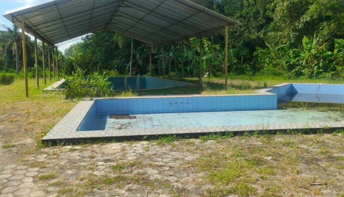 Pegiat Anti Korupsi Soroti Bangunan Mangkrak di Desa Jarum, Rugikan Negara Miliaran