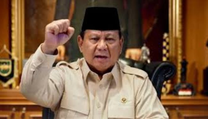 Presiden Prabowo Tegaskan Tak Ada Tempat bagi Premanisme Berkedok Ormas
