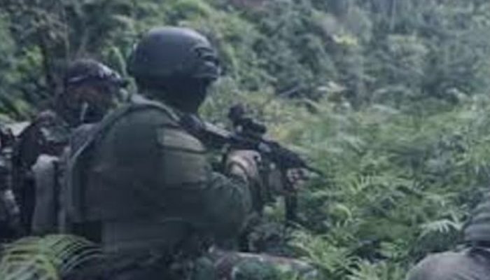 Kontak Senjata di Intan Jaya, Dua Prajurit TNI Terluka dalam Baku Tembak dengan OPM