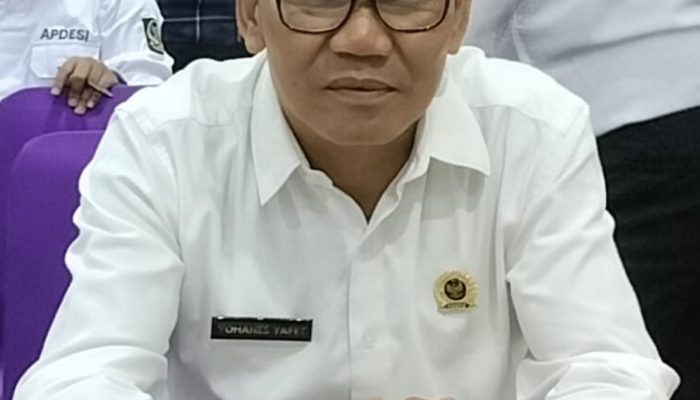 Masyarakat Desa Pelita Kenaya Mandiri Melalui Perkebunan Sawit Pribadi, Kades Berharap Dukungan Pemerintah dan Kerja Sama Perusahaan