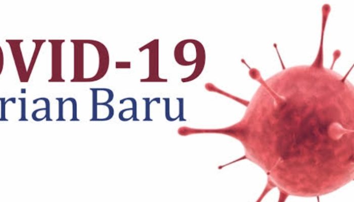 Varian Baru COVID-19 XFG (Stratus) Dominasi Indonesia, Kemenkes Imbau Warga Tetap Waspada