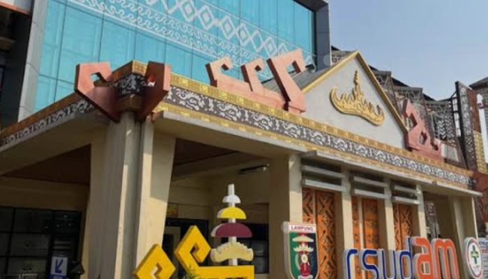 ​Bayi Alesha Meninggal di RSUDAM: Gepak Lampung Soroti Dugaan Bisnis Alat Medis Ilegal, Sebut Janji Direktur Sekadar Retorika