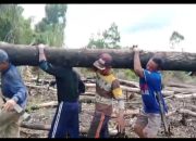 Perjuangan Warga Desa di Melawi: Gotong Royong Perbaiki Jembatan Rusak sebagai Akses Ekonomi dan Pendidikan