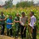 Kapolri Pantau Panen Jagung Serentak Lewat Zoom, Klaten Utara Ambil Bagian
