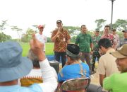 TBS Jadi Solusi Unggulan Atasi Hama Tikus di Lahan Padi Klaten
