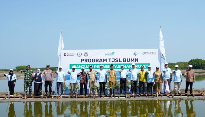 Dukung Program Prioritas Jateng, Pelindo Terminal Petikemas Tanam 50.000 Bibit Mangrove