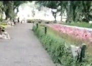 Penertiban Aturan di Taman Suropati: Warga Resah Keberadaan Hewan Peliharaan