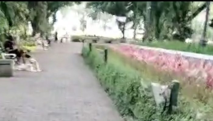 Penertiban Aturan di Taman Suropati: Warga Resah Keberadaan Hewan Peliharaan