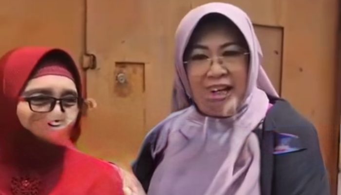 Dokter Tifa Pertanyakan Gelar Magister Iriana Jokowi di Biodata Dekranas